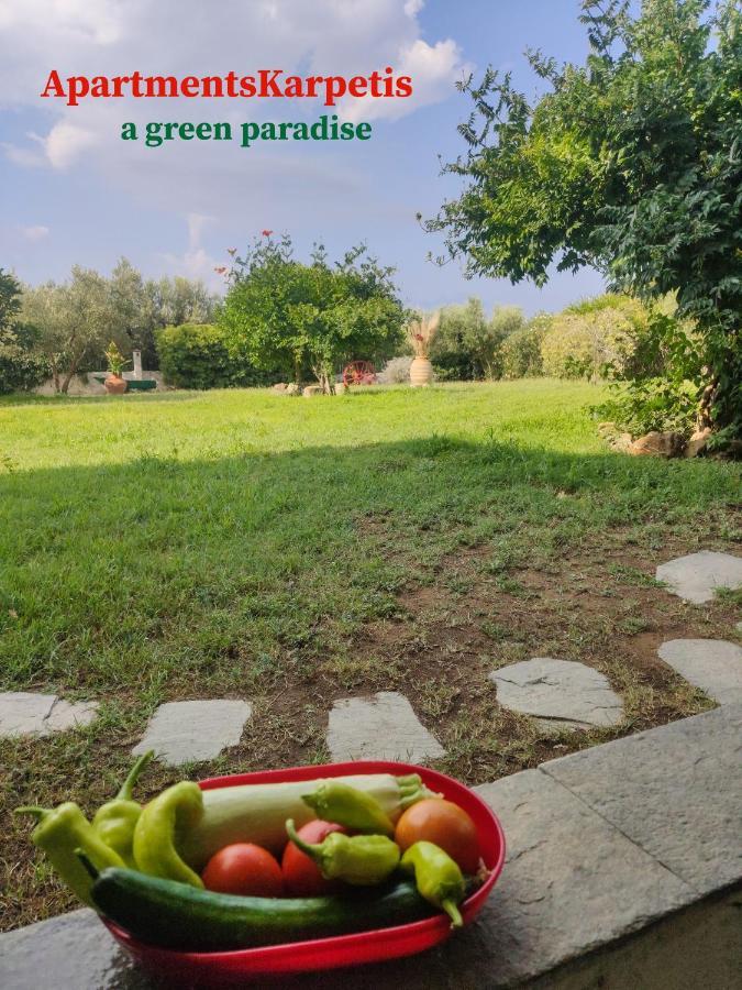 Apartments Karpetis A Green Paradise Psakoudia Ngoại thất bức ảnh