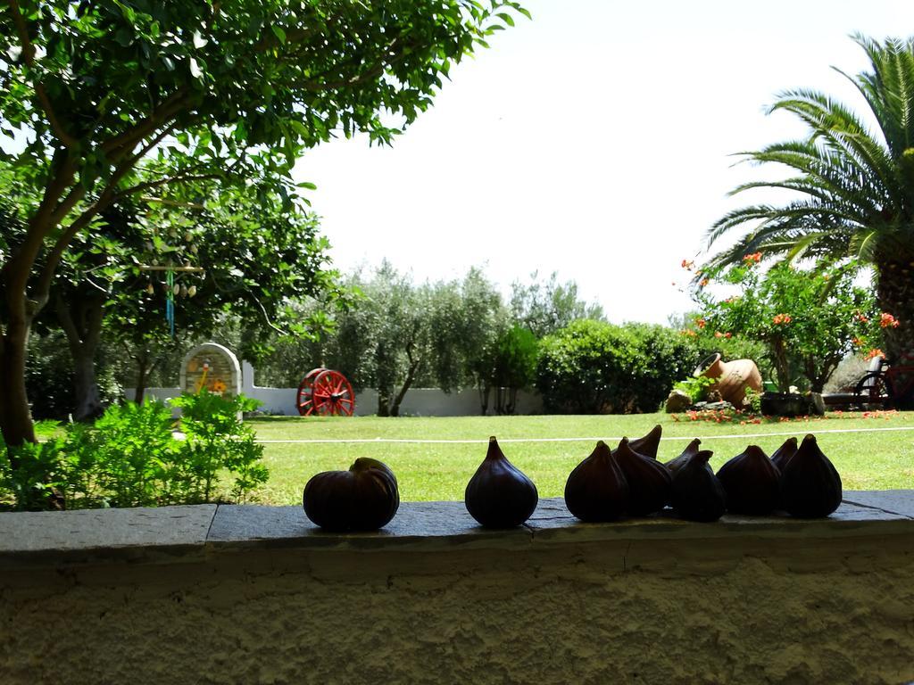 Apartments Karpetis A Green Paradise Psakoudia Ngoại thất bức ảnh